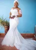 Plus -storlek arabisk aso ebi spets pärlstav sjöjungfru bröllopsklänningar rena nacke brudklänningar långa ärmar bröllopsklänningar zj044254l