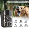 night trail camera