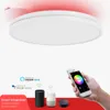 Freeshipping Modern LED ceiling light RGB dimming 48W/60W APP wifi voice intelligent control living room bedroom kitchen ceiling lamp