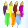 5-7 inches Gold Plated Feathers For Christmas & Wedding Party Decoration & DIY Handicrafts Accessories Home Decoration DHL Free Shipping