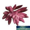 Wholesale- Snowflake Lotus Rare Plants Succulent Grass Desert Artificial Plants Landscape Arrangement Garden Decor Cute