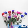 Nieuwe Creative Carnation Flower Soap Handgemaakte Bruiloft Valentijnsdag Kerstverjaardag Moederdag Gift Petal Paper Soap