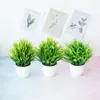 Konstgjorda växter Green Bonsai Small Tree Pot Plants Fake Flower Potted Ornament for Home Decoration Craft Plant Decorative