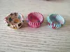 Mini-formaat 2.5cm Base Cake Decorating Levert Bakken Cups Muffin Cases Cupcake Liners KD