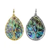 Livets träd Chakra Teardrop Pendant Filigree Hand Wrapped Natural Abalone Paua Sea Shells 5 stycken