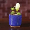 Ice Crack Flower Potts Succulent Garden Plants Pot Mini Thumb Desk Office Flower Havar Ceramic High Quality