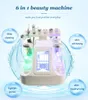 6 IN1 Microdermabrasion Hydro Facial Pailling Eau Dermabrasion Cold Hammer Bio Ultrasonic RF Spa Équipement