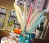 30 pcs. Bulrush Natural Dried Flowers Small Phragmits Grass DIY Artificial Flowers Home Wedding Decoration