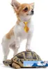 Originalitet husdjur slips för mode söt godis färger hund katt slips dekoration husdjur levererar 2 5jh c r