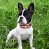 Real Leather Dog Collar Durable s Collars Bling Cool Metal Accessories for Small Medium s Y200515