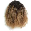 Afro Ponytail Human hair Kinky Curly Drawstring Ponytail Ombre Brown Color 1B/4/27 Hair Extensions for Women