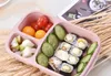 Student Lunch Box 3 Grid Wheat Straw Biodegradable Microwave Bento Box kids Food Storage Box School Food Containers With Lid EEA1899