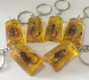 15 PCS Böcek Örneği Yapay Amber Scorpion Mücevher Tahsisi Hediye Aksesuarları2467097