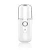 Nano Mist Sprayer 30ml Viso Corpo Mist Sprayer Spray portatile Idratante Cura della pelle Umidificatore viso Favore di partito CCA12496