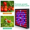 2835 LED GROW LICHT 81LED 169LED Full Spectrum Phytolamp Indoor Plant 85-265V Phyto Growth Lamp Hydroponics voor planten