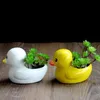 Potenciômetro suculento cerâmico pequeno pato cerâmico flor panela decoração criativo bebida vaso desktop planta verde titular jardim decoração ornamentos