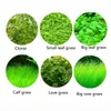 Aquarium Plant Seed Fish Fish