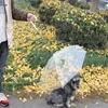 비에 개 강아지 건조를위한 가죽 끈과 편안한와 애완 동물 우산 내장 가죽 끈 우산 KKA8078