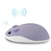 Mäuse Hamster 2,4 GHz Drahtlose Maus Sem Fio 4000 DPI USB Optische Botuli Original Nette Sheikh Gaming Geschenk Für PC Laptop mause1 Rose22