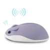 Souris Hamster 2.4GHz Souris Sans Fil Sem Fio 4000DPI USB Optique Botuli Original Mignon Sheikh Gaming Cadeau Pour PC Portable Mause1 Rose22