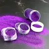20g Glitter Powder for Lip Gloss DIY Lipgloss Base Gel Tools Versagel Shimmer Face Glitter Makeup Use 12 Colors2541603
