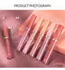 Handaiyan Matte Liquid Lipstick Waterproof Lipgloss Smooth Lips Sexy Makeup Matte Natural Nude Color Lip Gloss 12 Colors