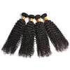 8A Virgin Mink Brazilian Kinky Curly Human Hair Bundles Mongolian Kinky Curly Hair Extensions6918618