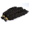 Veri capelli umani Malesi Estensioni dei capelli con punta Afro Jerry Ricci Cheratina Pre incollati Estensioni dei capelli per donne nere 100g1gstrand3253682