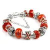 Charm Bracelets DIY Alloy Big Hole Beaded Girl Bracelet Murano Glass Beads Exquisite Ladies Gift Jewelry1