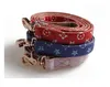 accessoires de chien en cuir