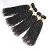 8a Virgin Mink Brasileiro Kinky Curly Human Hair Bundles Mongol Kinky Curly Hair Extensions6918618