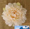 5.9" Large Silk Peony Flower Heads Multi color for Wedding Party Decoration Artificial Simulation Silk Peony Camellia Rose Flower Wall