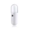 Hot selling USB Mini Facial Steamer Electronic Nano Mist Alcohol Sanitizer Sprayer For Disinfecting And Face Hydrating