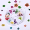 1 Box 3D Nagelkunst Dekorationen Aufkleber Rosa Gelb Lila Bunte Konservierte Frische Getrocknete Blumen DIY Design Zubehör Nägel Tipps