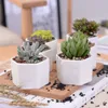 ceramic bonsai pots wholesale mini white porcelain flowerpots suppliers for seeding succulent indoor home Nursery planters HHB1706