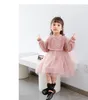 Roupas de bebê Girl Dress Primavera Queda manga comprida Lace malha Patchwork vestido da menina roupa elegante vestido