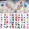 1 Box 3D Nagelkunst Dekorationen Aufkleber Rosa Gelb Lila Bunte Konservierte Frische Getrocknete Blumen DIY Design Zubehör Nägel Tipps