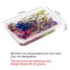 Guirnaldas de flores decorativas 1 Caja MEZCLA REAL SECA PARA PLANTAS SECAS QUE HACEN ACTENCIAS DE DIY ACCESORIOS PRESENTADOS