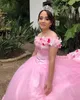 Magnifique rose Quinceanera 3D Floral Vestidos doux 15 Ans Robe Encolure Plus Size Prom Party Robes