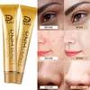 DNM High Covering Face Concealer Cream Contour Palette Foundation Full omslag Vattentät Make Up Lip Face Pores Kosmetiska 60.00 / Lot DHL