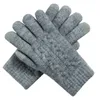 인공 양모 따뜻한 가을 겨울 야외 부드러운 니트 성인 세탁 가능한 여성 장갑 더블 두께 솔리드 터치 스크린 Daily1