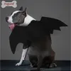 Halloween Pet Bat Dog Apparel Wings Małe Duże Psy Koty Kostium Odzież Zmiana Ubrania