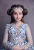 Abiti da bambina vintage principessa fiore 2020 Appliques in pizzo maniche lunghe Abiti da cerimonia per bambini Abiti da prima comunione fata su misura