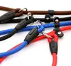 New Nylon Rope Dog whisperer Cesar Millan style Slip Training Leash Lead and Collar Red Blue Black 3 Colors SN3363