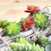 Yapay Çiçekler Succulents Bitkiler Peyzaj Sahte Çiçek Çim Çöl Bitki Bahçe Dekor Ev Ofis Dekor1