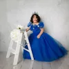 Royal Blue кристаллы 2020 Цветочница платье бальное платье Тюль Маленькая девочка Свадебные платья Vintage причастия Pageant платья Платья F2155