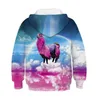 Autumn And winter New Animal Digital Printing Children039s Sweater Fashion Large Long Sleeve Hoodie Casual Children039s Wear1706080