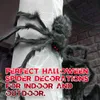 Vumdua Halloween Spider Halloween Giant Spider Set réaliste effrayant Spider Hairy 5 Ft pour Halloween Outdoor et Decoration intérieure7677432
