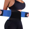 Ligne de la taille de la taille de loisirs Courteille de corset Sincall Corps Shaper Control Control Sport Lumbar Belt for Women Outdoor Running Sports3998877