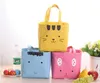 Korean Style Canvas Tote Cooler Bags Cartoon Cute Lunch Insulated Bag Waterproof